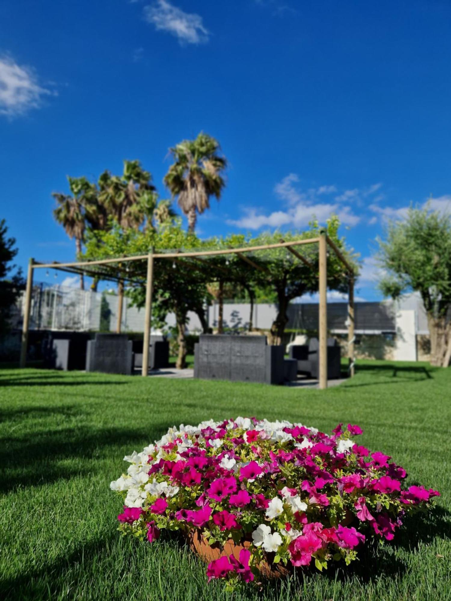 Corte D'Aniello Scafati Dış mekan fotoğraf