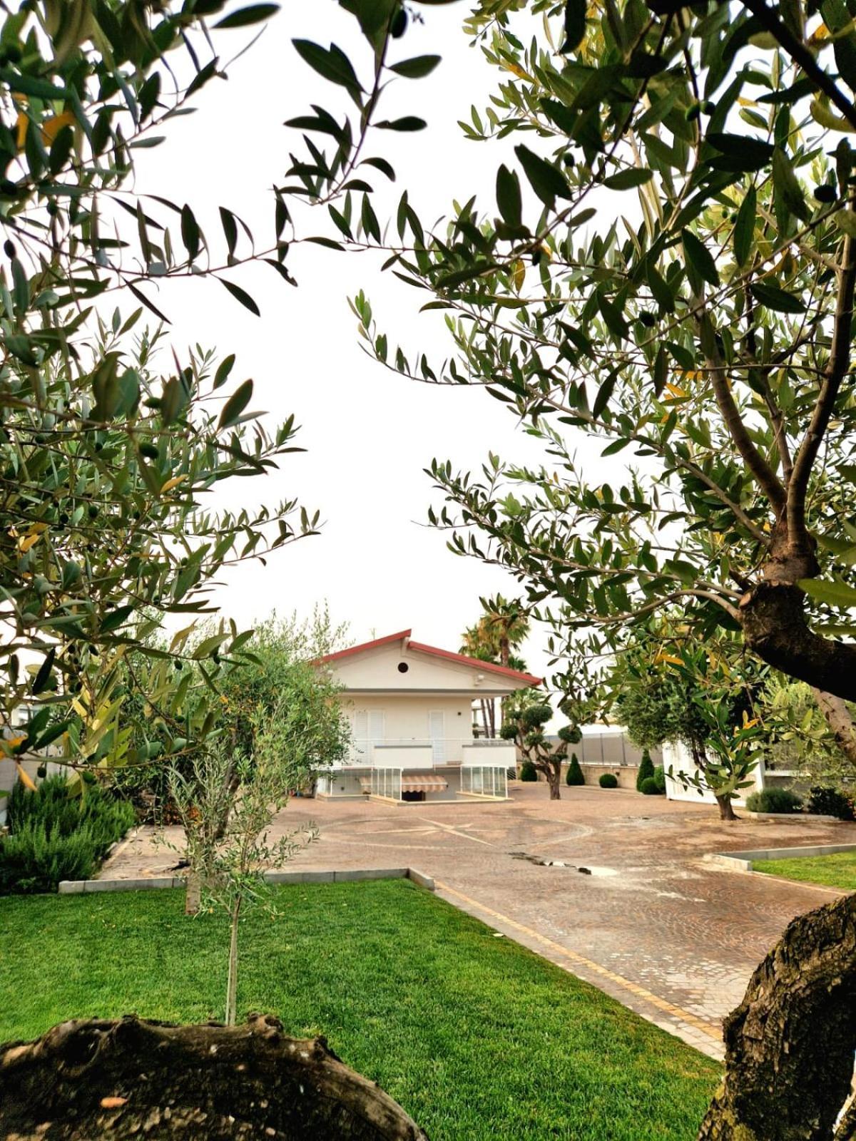 Corte D'Aniello Scafati Dış mekan fotoğraf